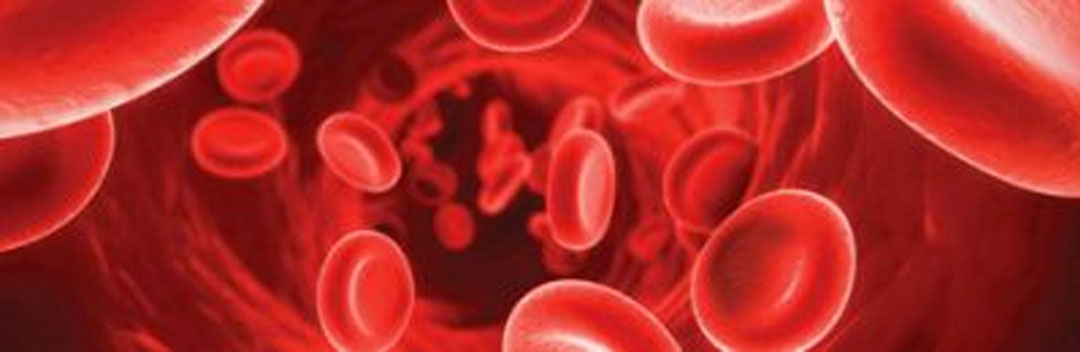 Haematology Oncology