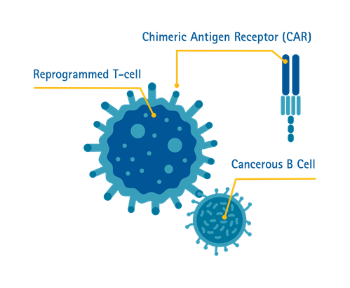 car-t-cell Illustration of CAR T-cell therapy
